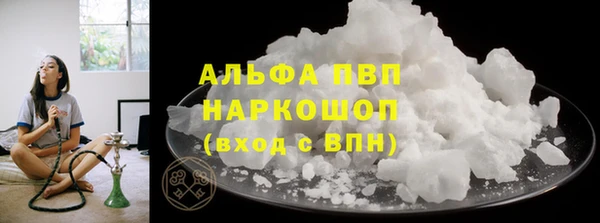 сатива Осташков