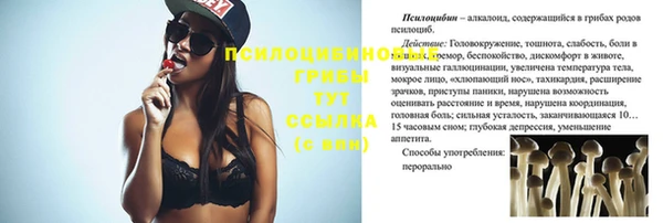 шишки Остров