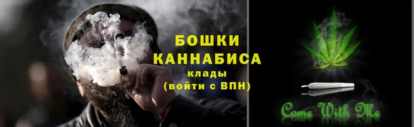 сатива Осташков