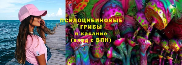 шишки Бронницы