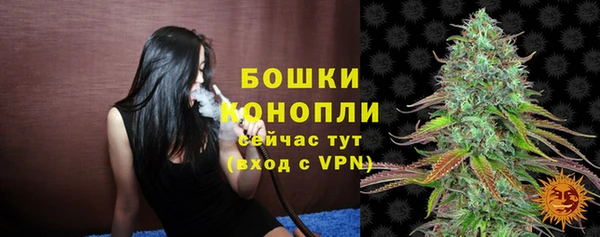 шишки Остров
