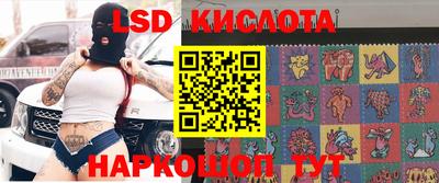 прущие грибы Гусев