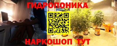 не бодяженный Гусиноозёрск