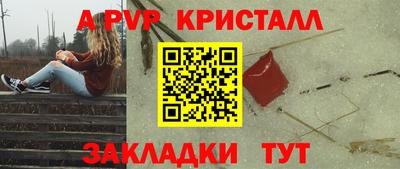 прущие грибы Гусев