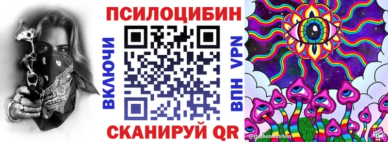 Галлюциногенные грибы Psilocybine cubensis  Торжок 