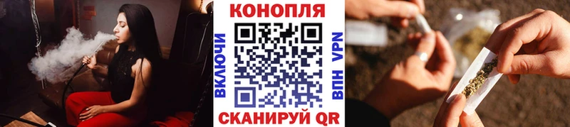 закладки  Торжок  Канабис сатива 